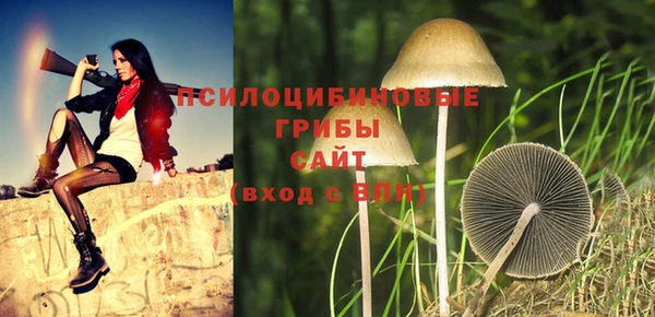 jwh Зеленокумск
