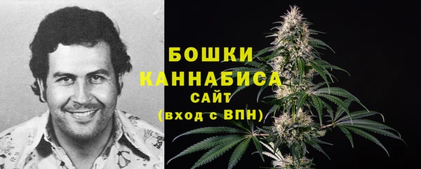 дживик Зеленодольск