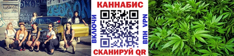 Купить где  Заозёрный  Конопля Amnesia 