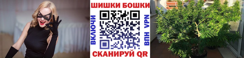 Бошки Шишки VHQ Заозёрный